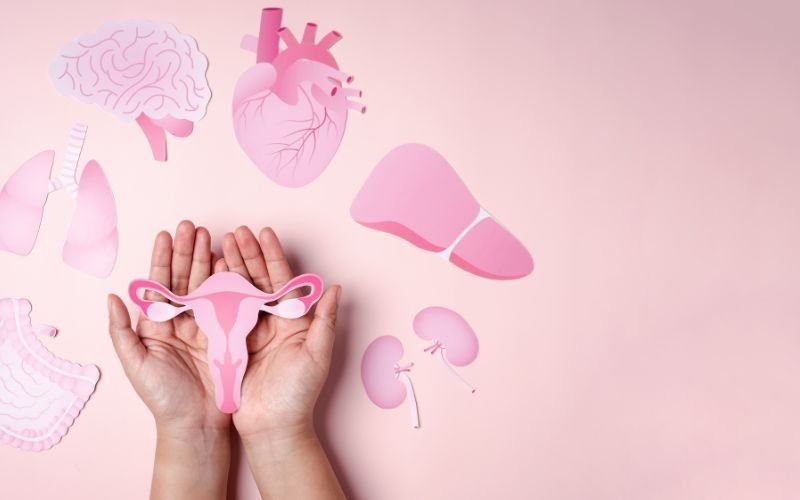 Fitness Blog Ideas About Fitness And The Menstrual Cycle | Finer Things Editorial
