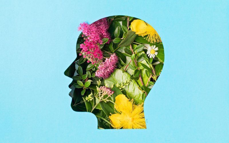 Decide who your holistic psychologist blog is for | Finer Things Editorial | Shropshire | Oswestry | Shrewsbury