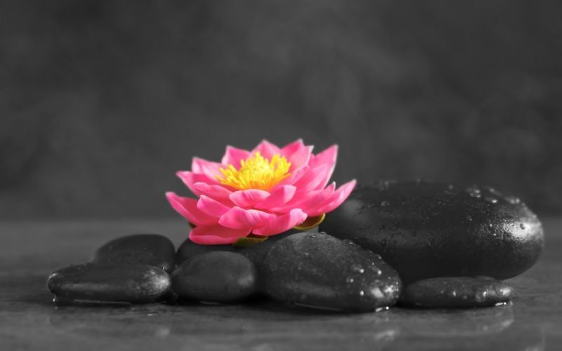 Spiritual quotes on meditation by Rumi | Finer Things Editorial